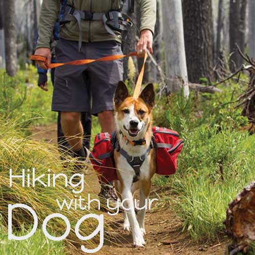 lodges rental sweden