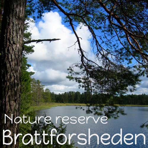 lodges rental sweden