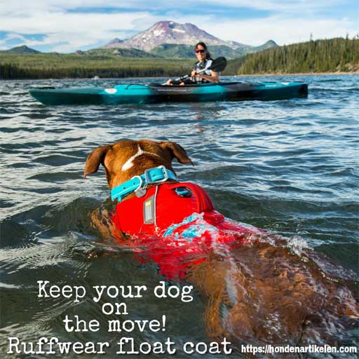 promotie vakantie met je hond