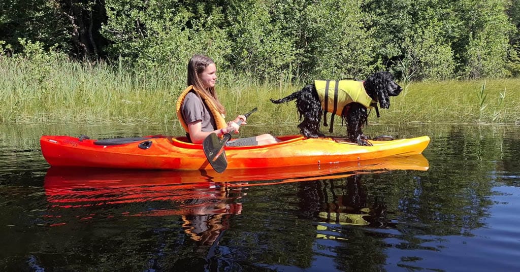 vakantie met je hond